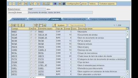 Show table indexes in SAP dictionary