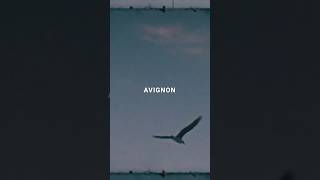 Avignon - Out Now 🎧🎥 #newmusic #avignon #indiepop #björnyttling #olofgrind #super8 #analougevibes
