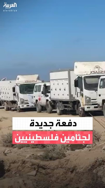         30     
 - نشر قبل 2 ساعة
