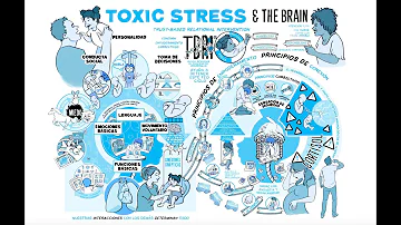 ¿Cómo afecta el estrés tóxico al cerebro?