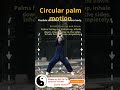 Wear Palm to draw a circle, this action is easy #TaiChiAndDiabetesCoursesOnline #TaiChiPainRelief