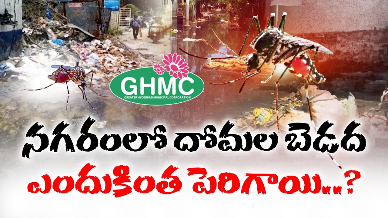 Mosquito Menace in Hyderabad | What’s Causing the Surge? | Idisangathi
