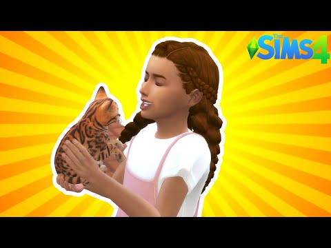 How To Make Pets Use The Bathroom Sims 4?