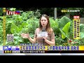 最新》土石崩落直衝民宅外 公所憂颱風將來襲.急勘查@newsebc