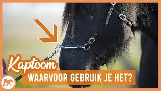 Vernederen Rot Excursie De werking van het Kaptoom - YouTube