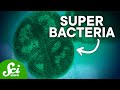 6 bacteria with wild superpowers