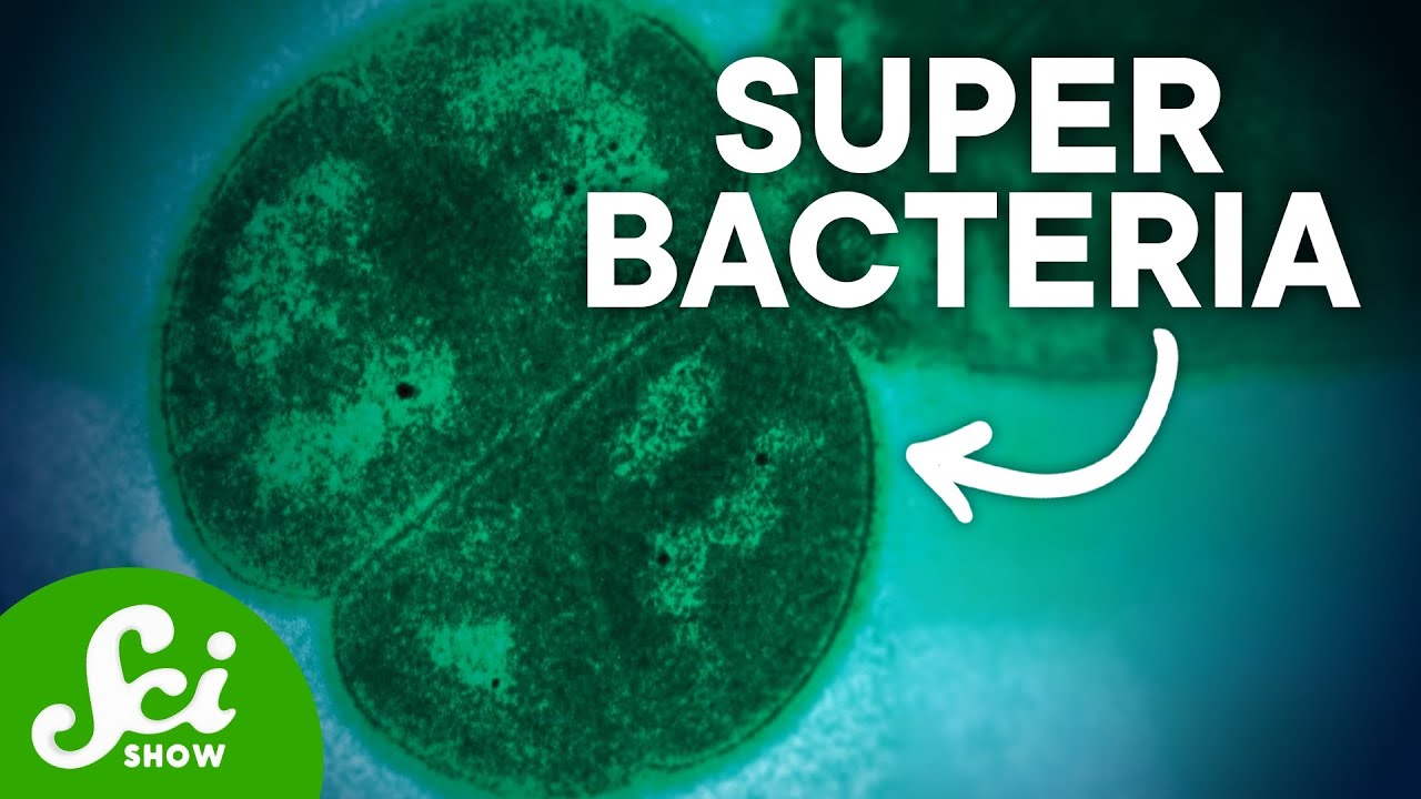 The World's Toughest Bacterium Can Withstand Anything From