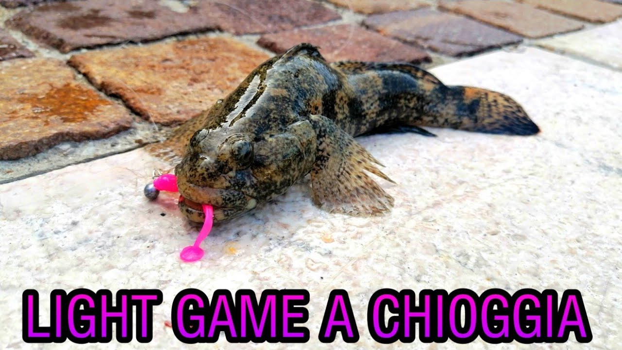 Light game a Chioggia