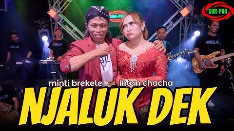INTAN CHACHA FEAT MINTI BREKELE - NJALUK DEK ( Original Live Vedio Music )