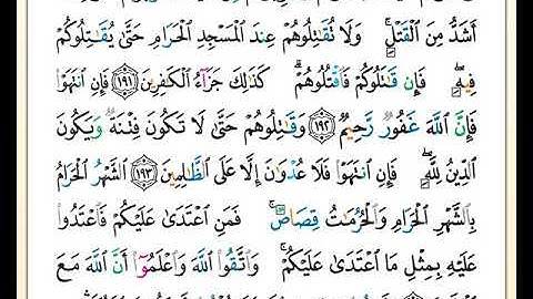 الصفحة رقم ( 30 ) من ختمة مصحف التجويد برواية حفص بصوت القارئ محمد حبش