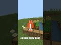 Minecraft Crops Have a Secret Growth System #minecraft #gaming