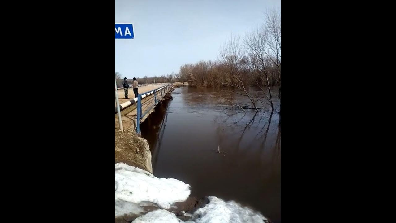 Река разливалась широченным озером с поросшими