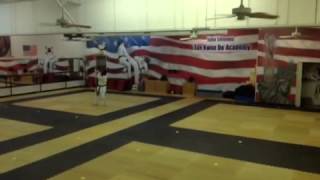 Emmons' TaeKwonDo Harlem Shake