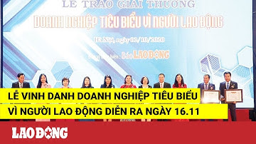 Lễ vinh danh Doanh nghiệp tiêu biểu vì Người lao động diễn ra ngày 16.11 | Báo Lao Động