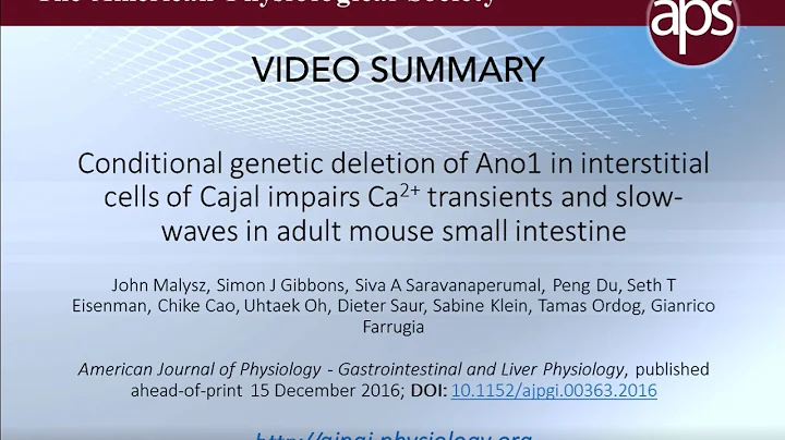 Ca2+ Transients and Slow Waves in Conditional Ano1...