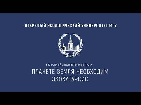 Видео: 5 естествени болкоуспокояващи във вашата кухня