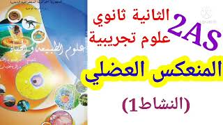 الدرس01:المنعكس العضلي|ثانية ثانوي علوم تجريبية