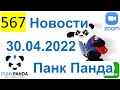 567 ALL 2022 - PunkPanda (PPM) - 30.04.2022 Новости - Маркус Шуберт