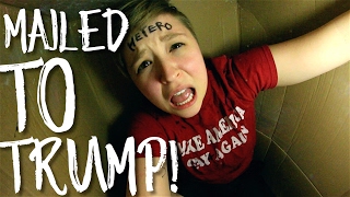 Trapped in a Box for 37 days!