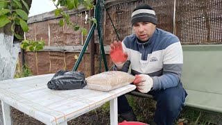 УСТРОИЛИ САБАНТУЙ!СЕЕМ ГАЗОН!ЗАПУСТИЛА ДОМ!ОГОРОД И ХОЗЯЙСТВО В ДЕРЕВНЕ!ЖИЗНЬ В РОССИИ!