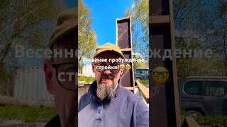 Разбираю зимний тепляк. Навожу порядок на плите