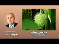 Тайна диких огурцов | Алексей Опарин