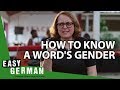 How to know a word's gender | Super Easy German (70)
