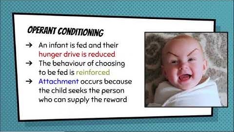 The Learning Theory of Attachment (AO1 A LEVEL PSYCHOLOGY)