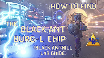How To Find The Black Anthill Super Chip (Black Anthill Lab) | Easy Grounded Guides