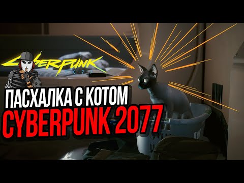 СЕКРЕТНАЯ ПАСХАЛКА С КОТОМ В КИБЕРПАНК 2077►ГДЕ НАЙТИ КОРМ ДЛЯ КОТА