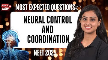 🧠 Neural Control and Coordination | Most expected question | NEET 2025 |  NEET Biology 🧠