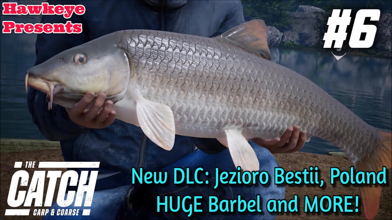 THE CATCH: Carp and Coarse - New DLC: Jezioro Bestii Poland HUGE Barbel &  MORE! 