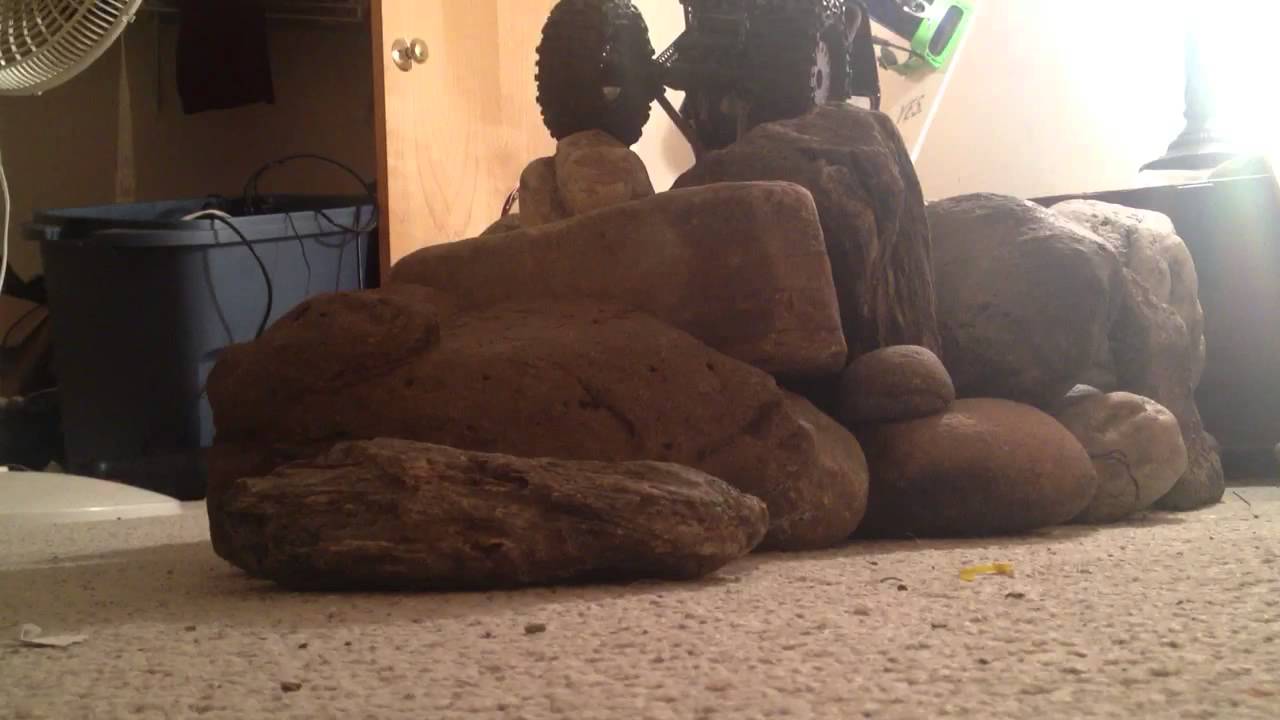 Mayhem Engineering 2.2 W/ Rover White Dots