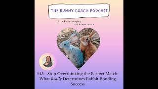 #45 - Stop Overthinking the Perfect Match: What Really Determines Rabbit Bonding Success