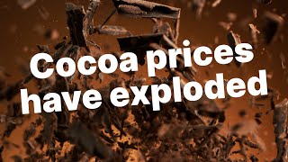 What Is Driving Cocoa's Sweet Price?