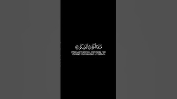 فلينظر الإنسان إلى طعامه | كرومات شاشة سوداء | سورة عبس | الشيخ عبدالولي الاركاني