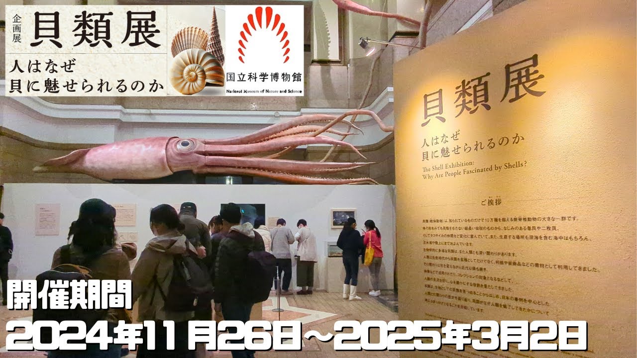 福山◀️Ｐ13希少品の海の中大きいの貝彫刻置物 福山様専用◀️P13希少品の海の中大きいの貝彫刻置物 【公式通販】