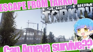 【タルコフ0.14】#6 朝からチルっていこっ！【FPS】