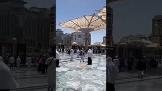 Masjid e nabvi Gate number 309 Masjid e nabvi Gate number 309