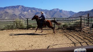 Pat's First Ride on Blue by Pat & Deb Puckett 11,652 views 1 month ago 15 minutes
