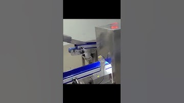 Visual sorting machine, which sorts products or components according to certain rules