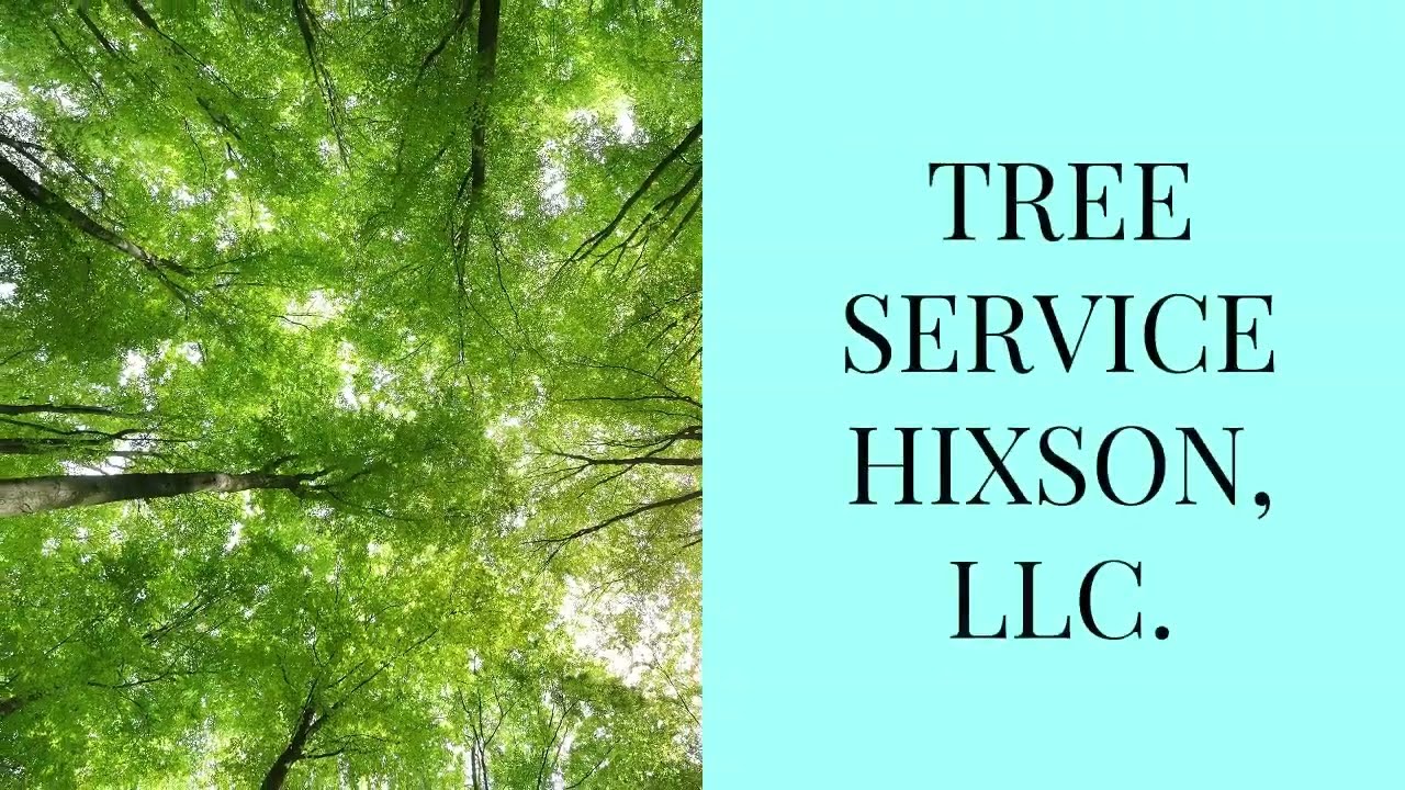 Tree Service Hixson, LLC. - Free Estimates - (423) 401-2820