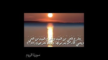 سورة الروم//فسبحان الله/حالات واتس اب