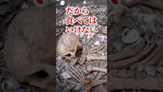 食べたい人、禁止する人…“肝食論争”の行方 #GUNFISH #ガンフィッシュ