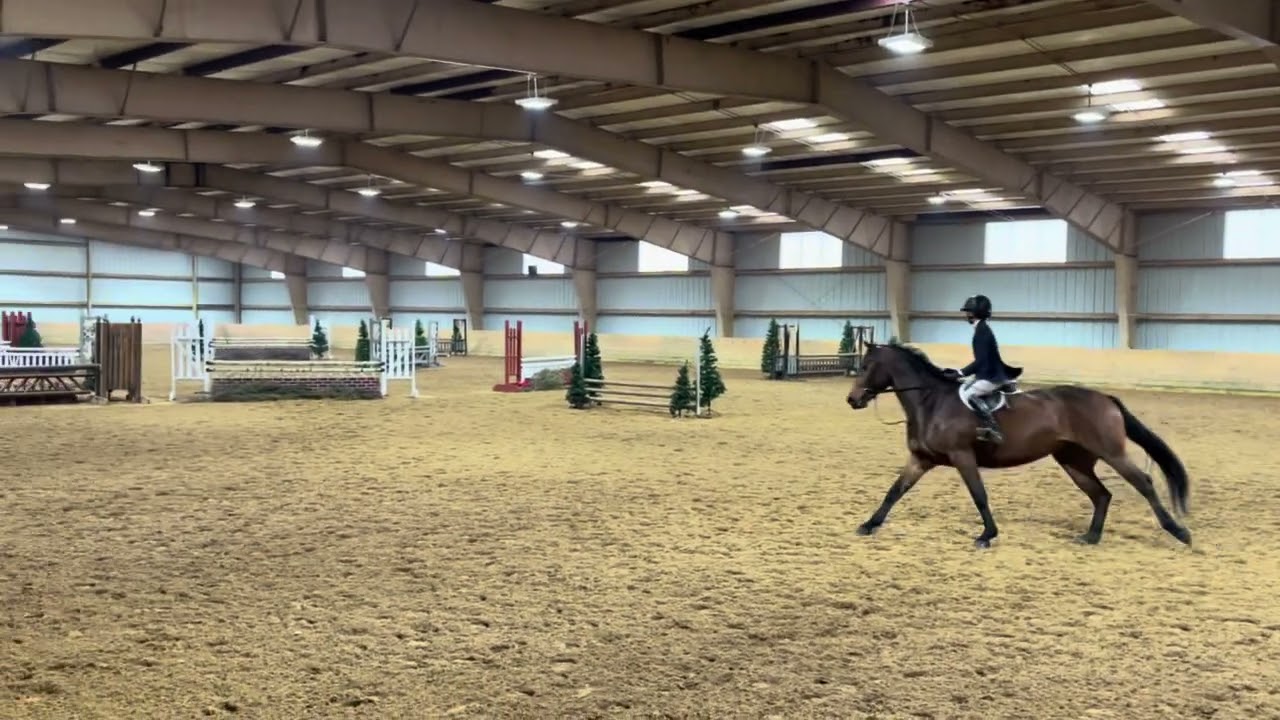 Winning Trip 3ft - Noor HM