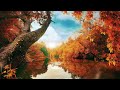 Deep Focus Music - Concentration Music for Studying, ADHD Music, Super Intelligence