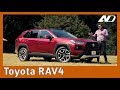 Toyota RAV4 - El macho vegano de las SUV's