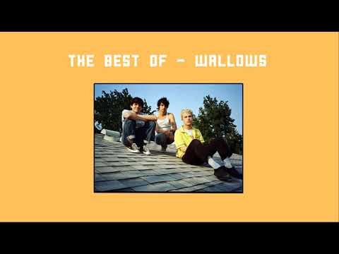 The Best Of Wallows