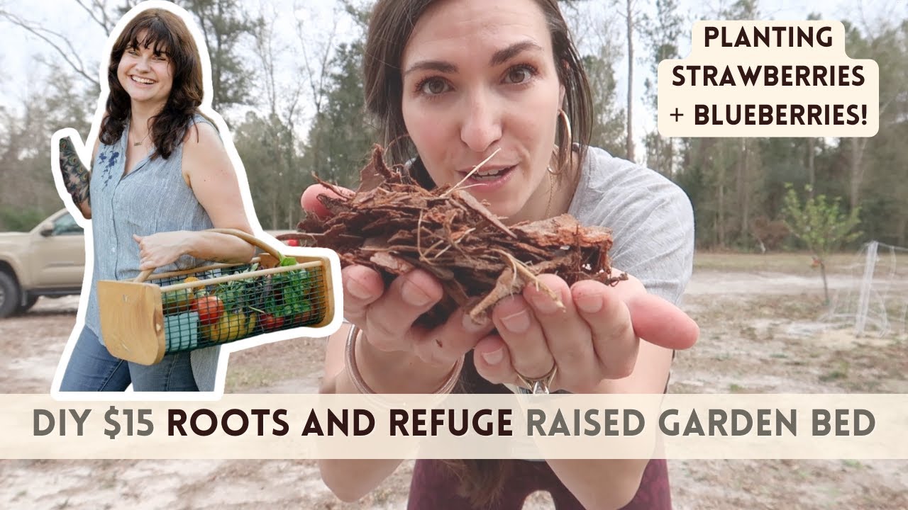 DIY Roots and Refuge Raised Garden Bed Planting Blueberries and