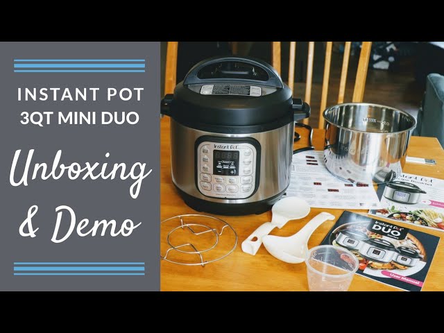 Instant Pot Duo Mini Review Demo Recipes 